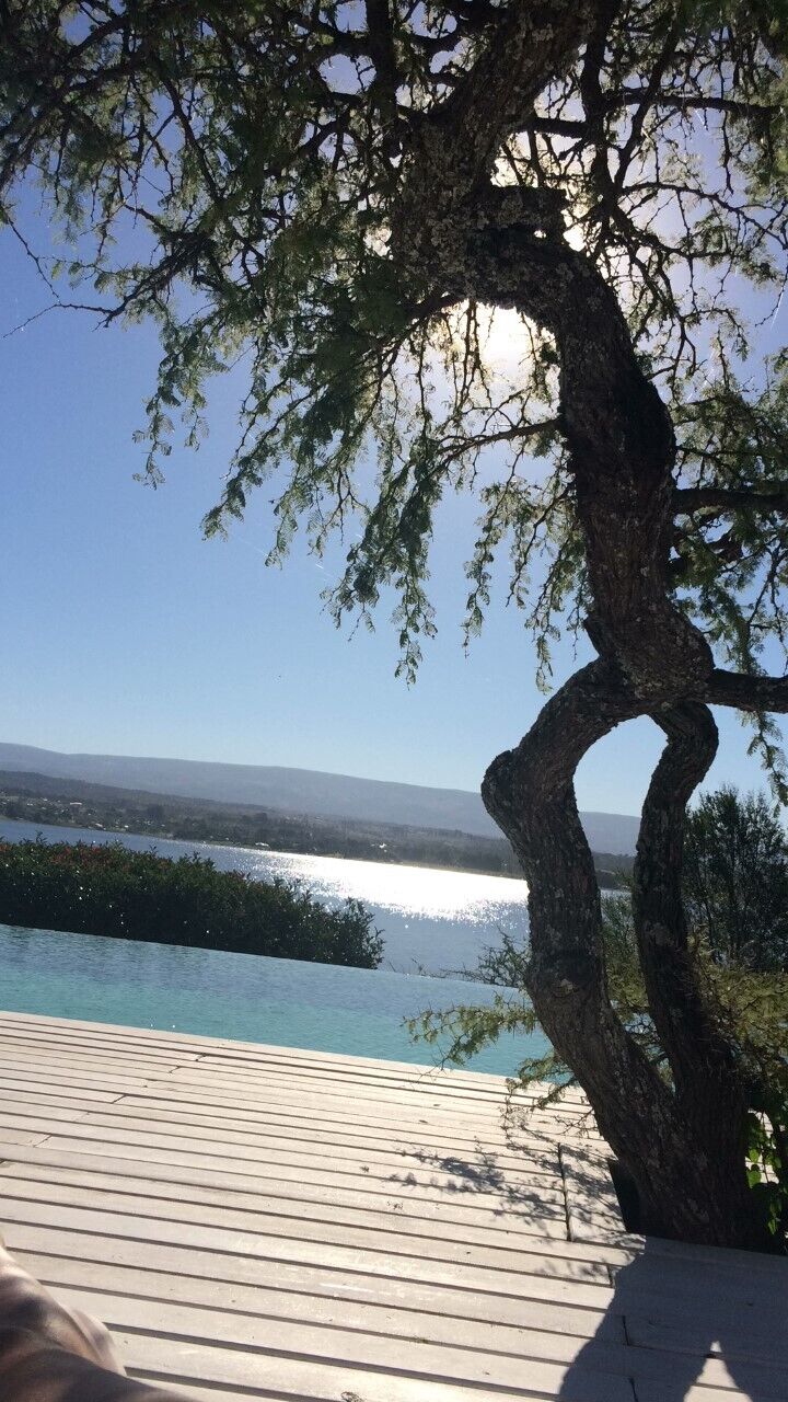 A alfarrobeira sobre o deck da piscina, com o lago ao fundo