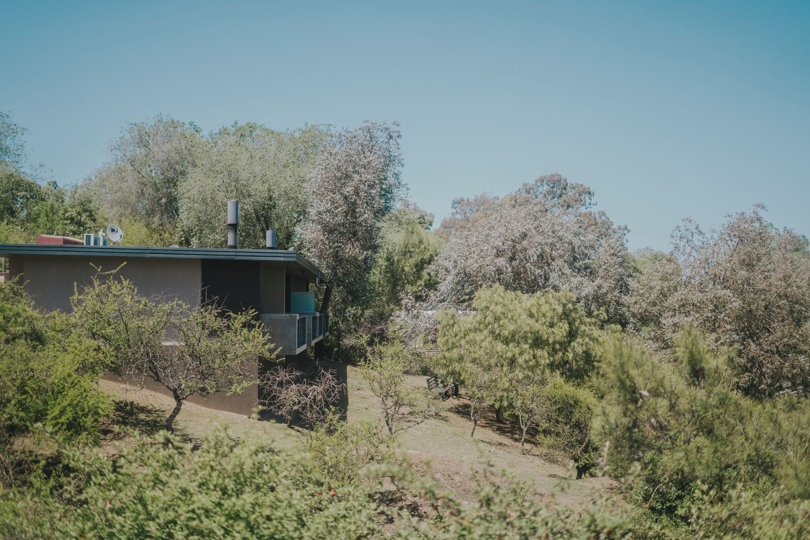 Casa del complejo entre árboles, en calma